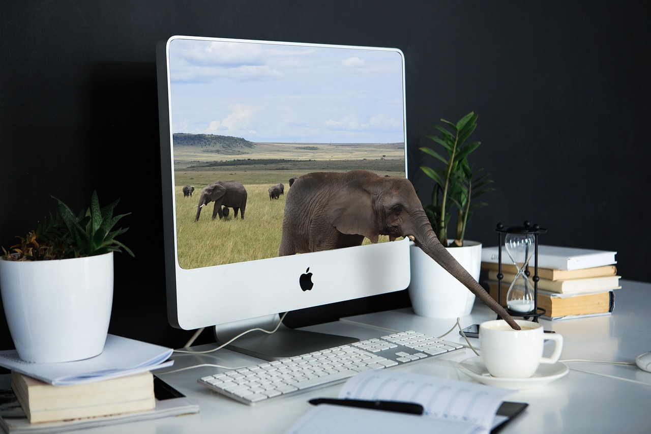 10 Tips for Eco-Friendly Home Office Decor